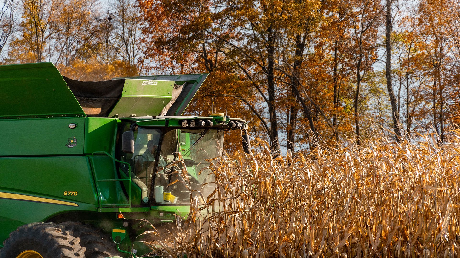 25-11-5--Corn-Harvest-Footage-86-web