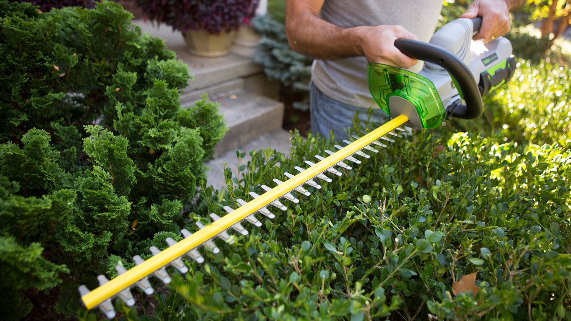 EGO-HT2400-–-24”-Hedge-Trimmer-