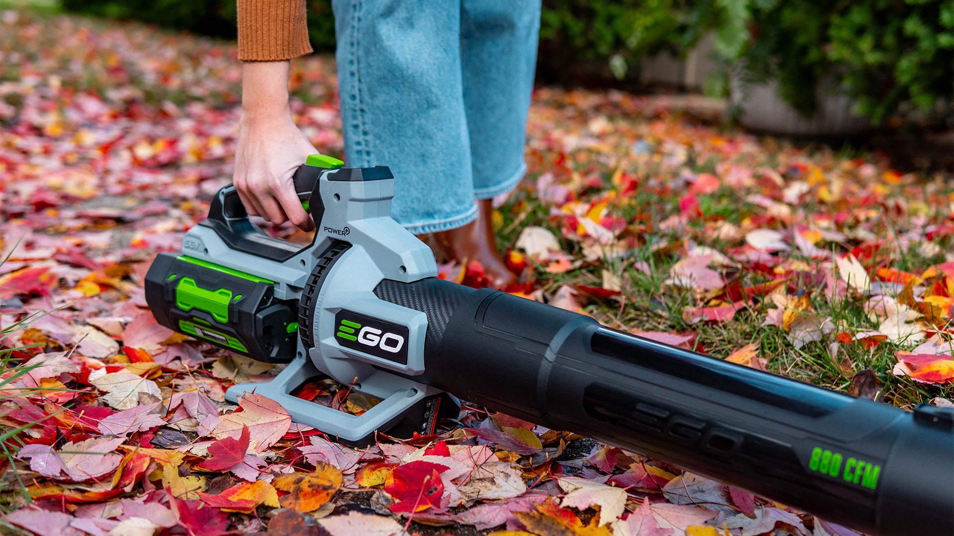 EGO-Power-Plus-Lead-Blower-at-Koenig-Equipment-Colorful-Leaves