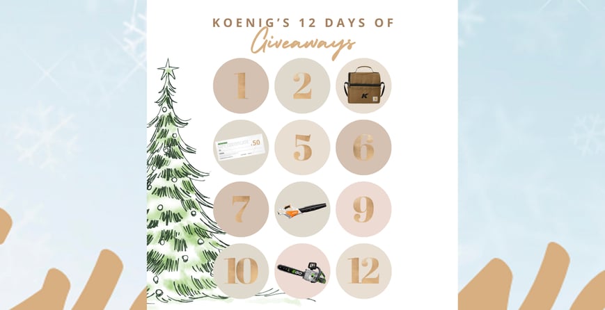 Koenig 12 Days