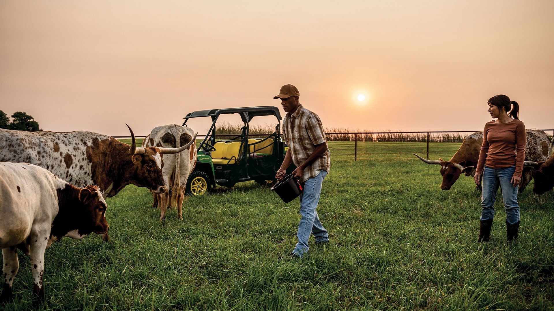 Gator-Sunset-Feeding-Cows