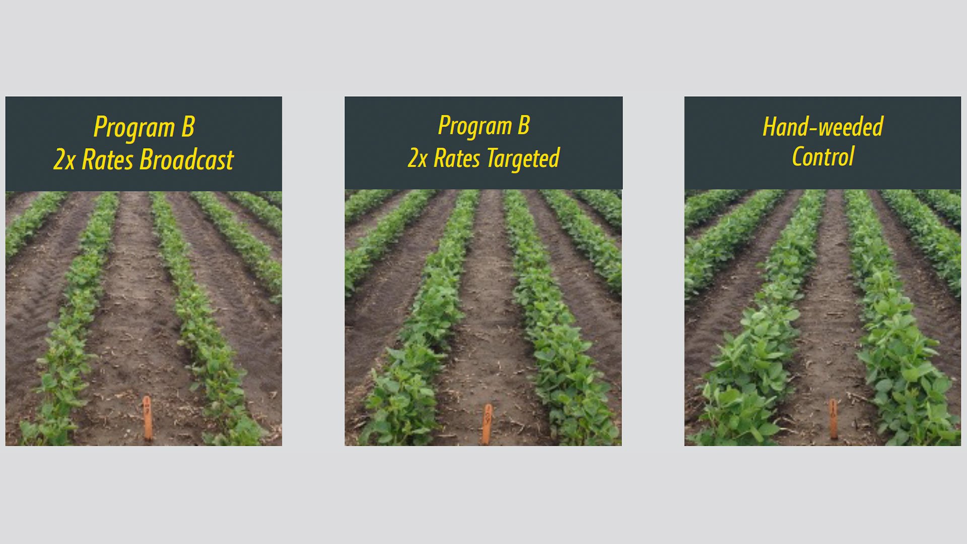 See-+-Spray-Test